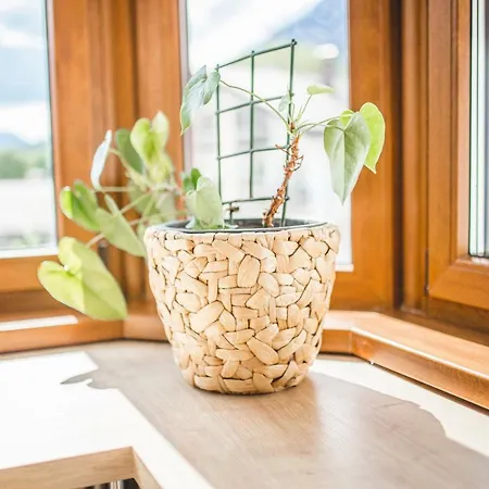 Downtown Alpi Apartamento *