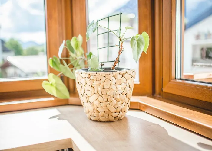 Downtown Alpi Apartment *